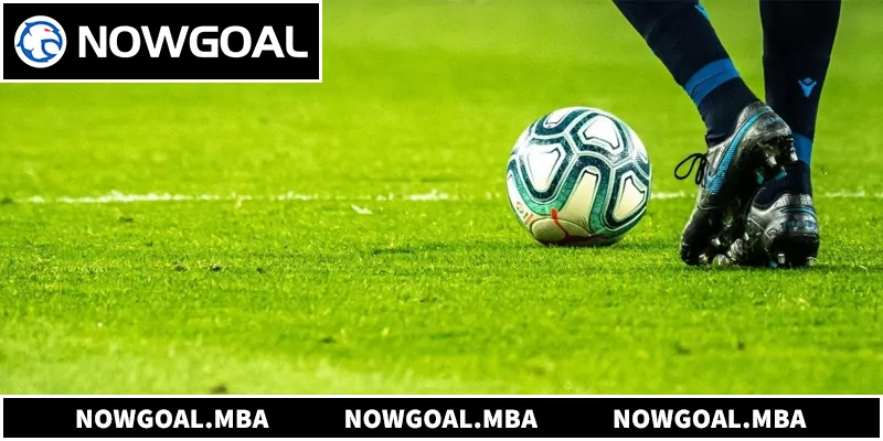 Tìm hiểu chi tiết về nền tảng 1gom